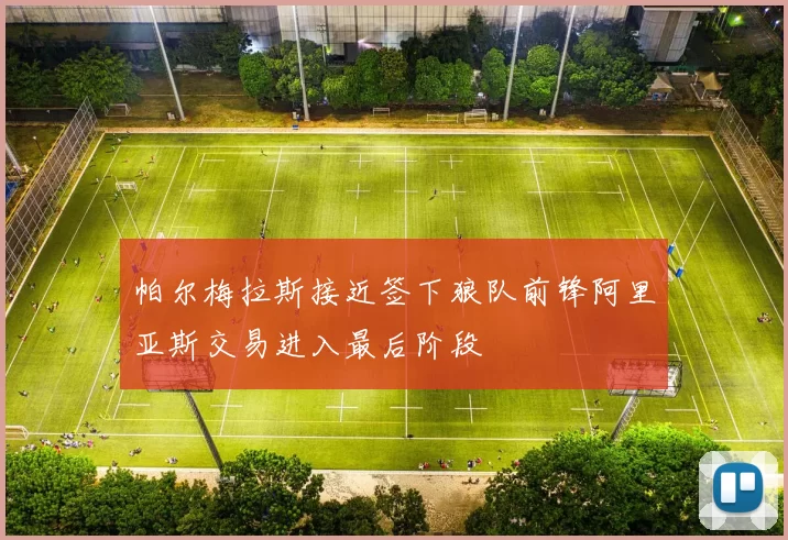 帕尔梅拉斯接近签下狼队前锋阿里亚斯交易进入最后阶段